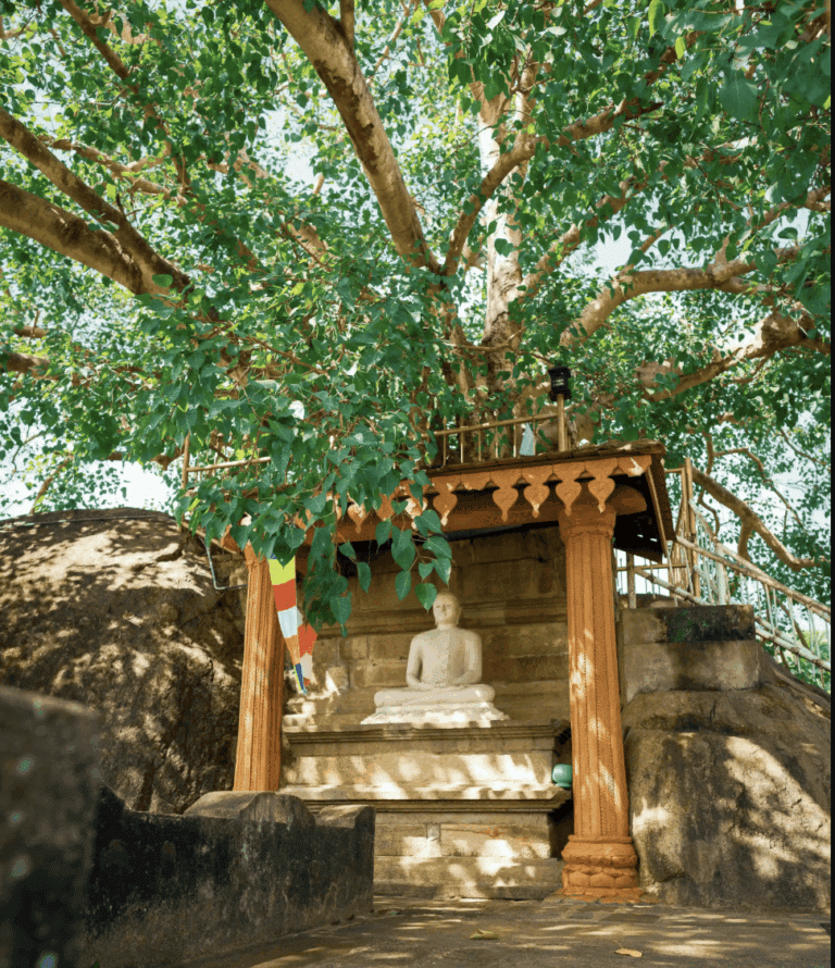 buddha-anuradhapura-srilanka- bouddhisme