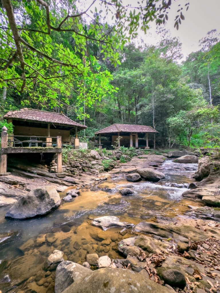 sri-lanka-ecolodge-natural-river-wellness