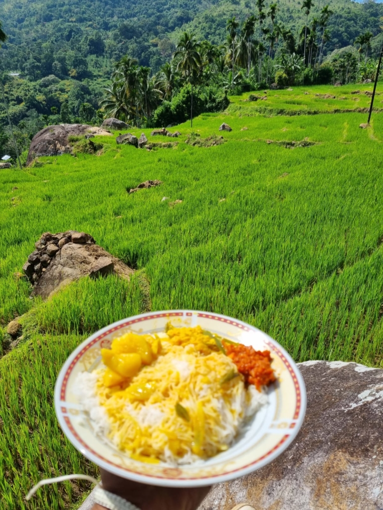 authentic-sri-lankan-village-food-experience