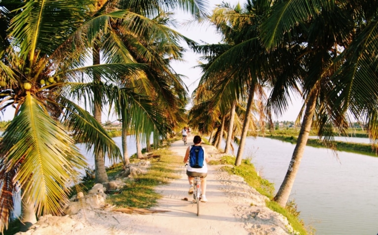 cycling-tour-hoi-an-countryside-palm-trees