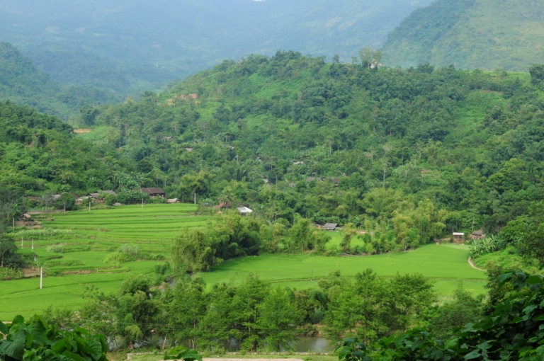 lush-green-rice-terraces-mountains-bac-kan-vietnam