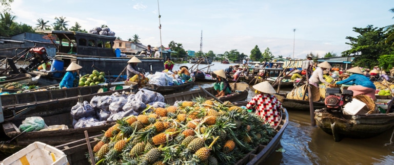 pineapple-harvest-boat-mekong-delta-market