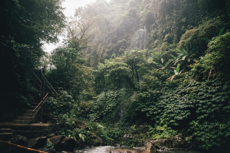sacred-waterfall-jungle-path-bali-spirituality