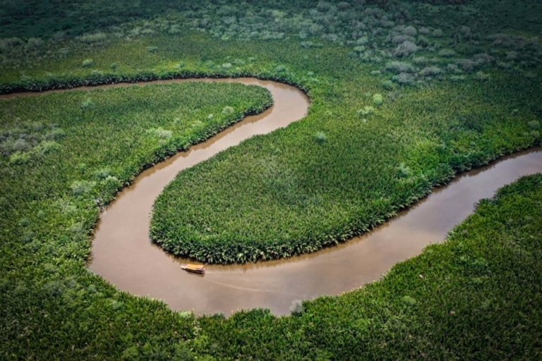 sekonyer-river-meander-aerial-view-borneo-jungle