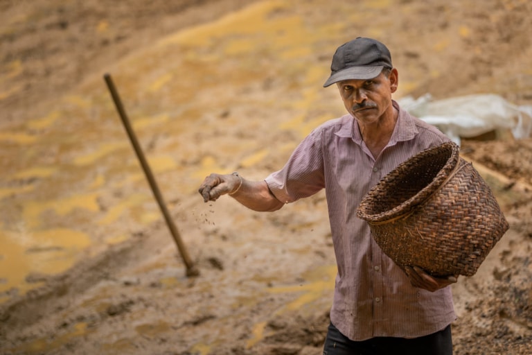 sri-lanka-village-experience-paddy-seeding