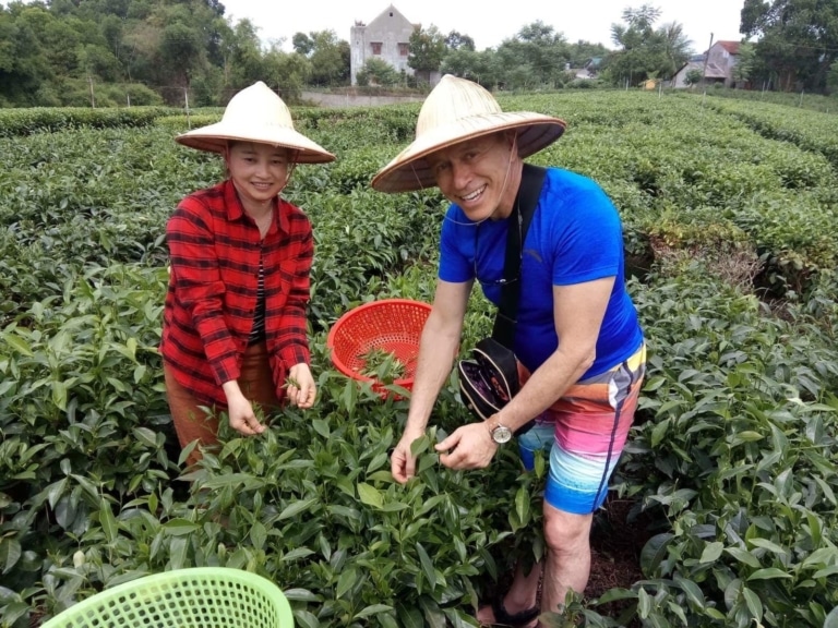 tourist-picking-tea-local-farmer-vietnam
