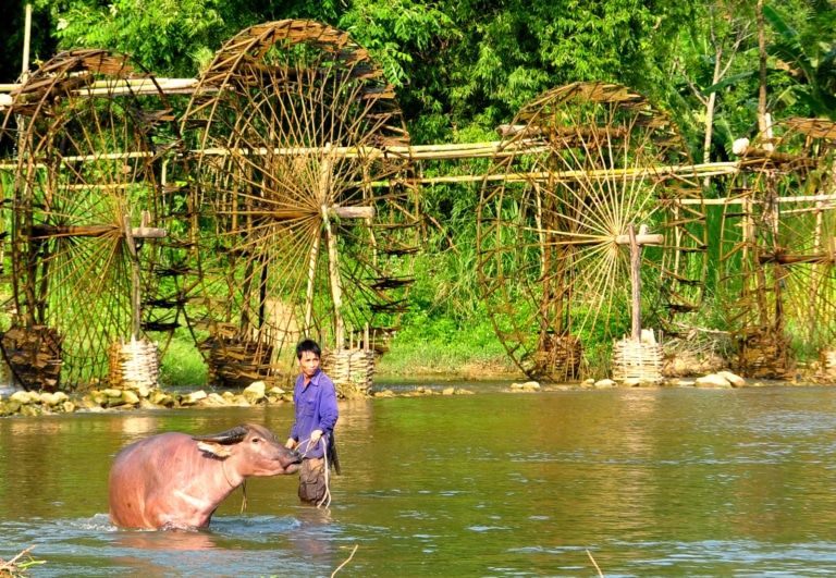 vietnamese-farmer-with-water-buffalo-river-pu-luong