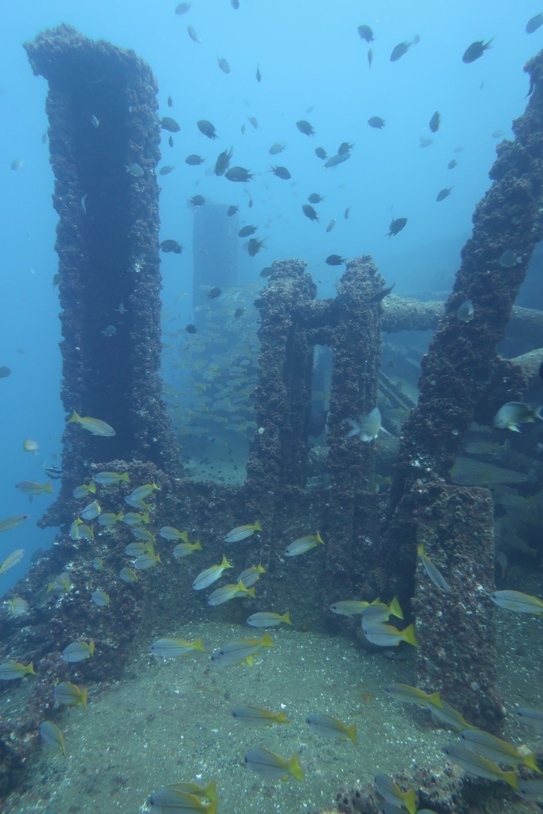 wreck-diving-colombo-underwater-shipwreck