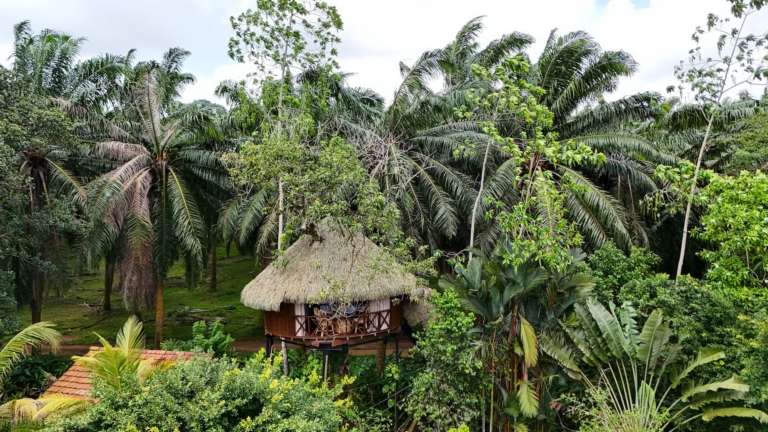 Nuit insolite srilanka huma terra (2)