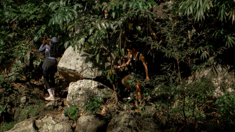 adventure-trekking-pupuan-rainforest