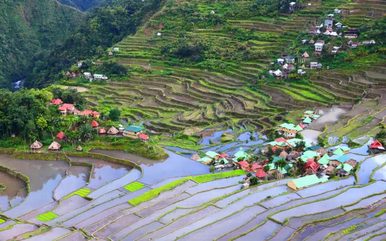 Les rizières Ifugao - Philippines