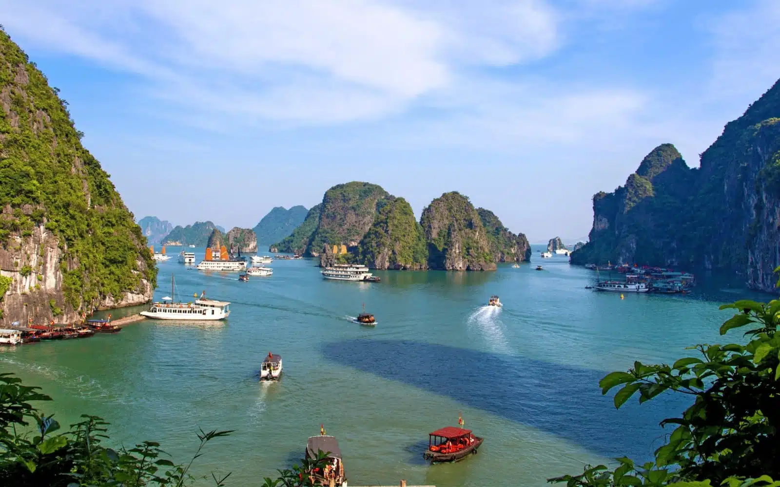 ha long bay cruise ships panoramic view