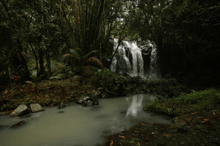 hidden-waterfall-jungle-pupuan