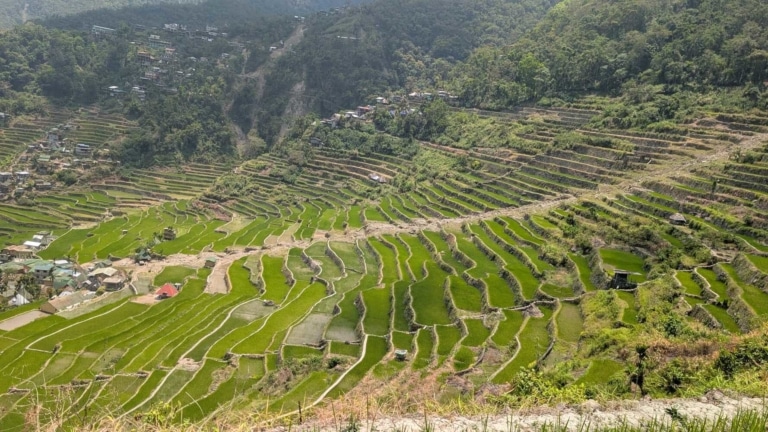 ifugao-agriculture-mountain-terraces-banaue-trek