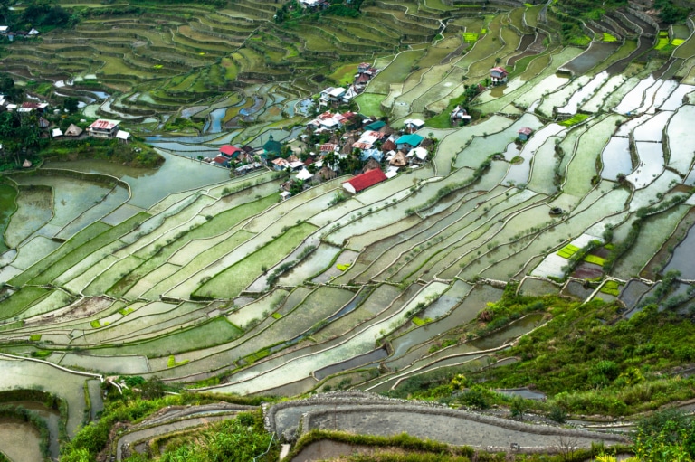 ifugao-heritage-village-flooded-rice-terraces-banaue