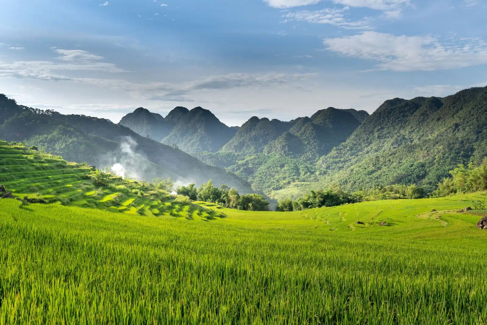 Pu Luong Vietnam : immersion au cœur des plus belles rizières en terrasse du nord du pays