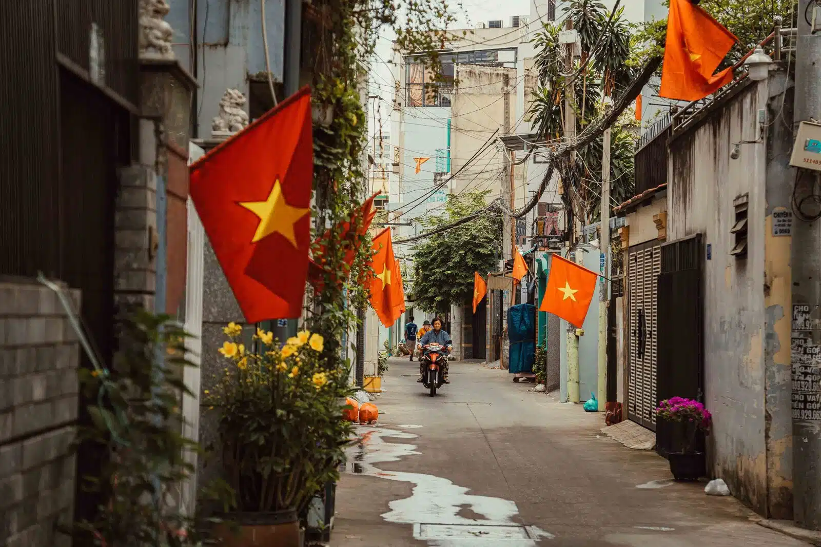 Voyager au Vietnam en famille : des expériences authentiques et insolites