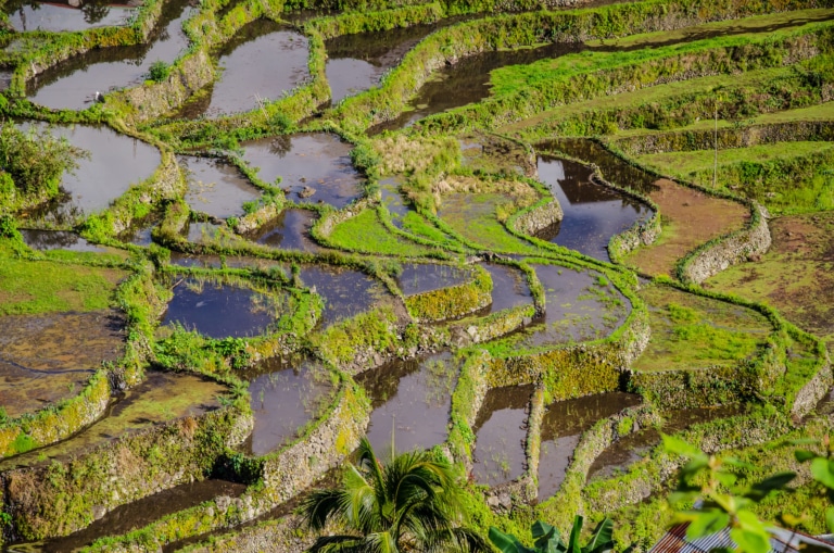 stone-walled-rice-paddies-reflection-batad-luzon