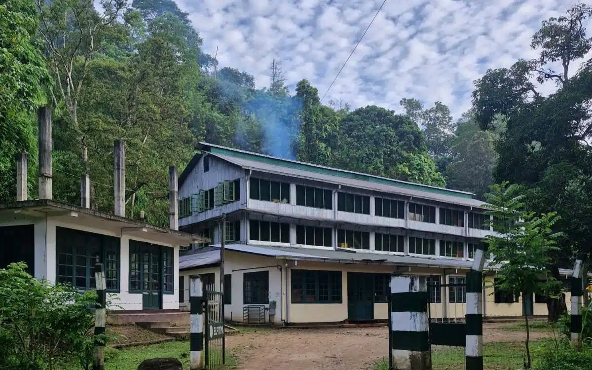 tea factory srilanka experience