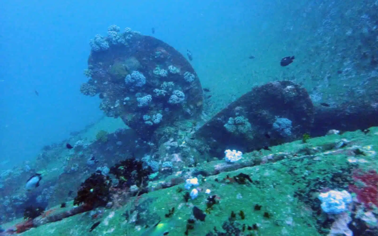 thermopylae sierra shipwreck hull Colombo