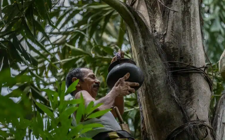 Le village secret des montagnes - Sri Lanka