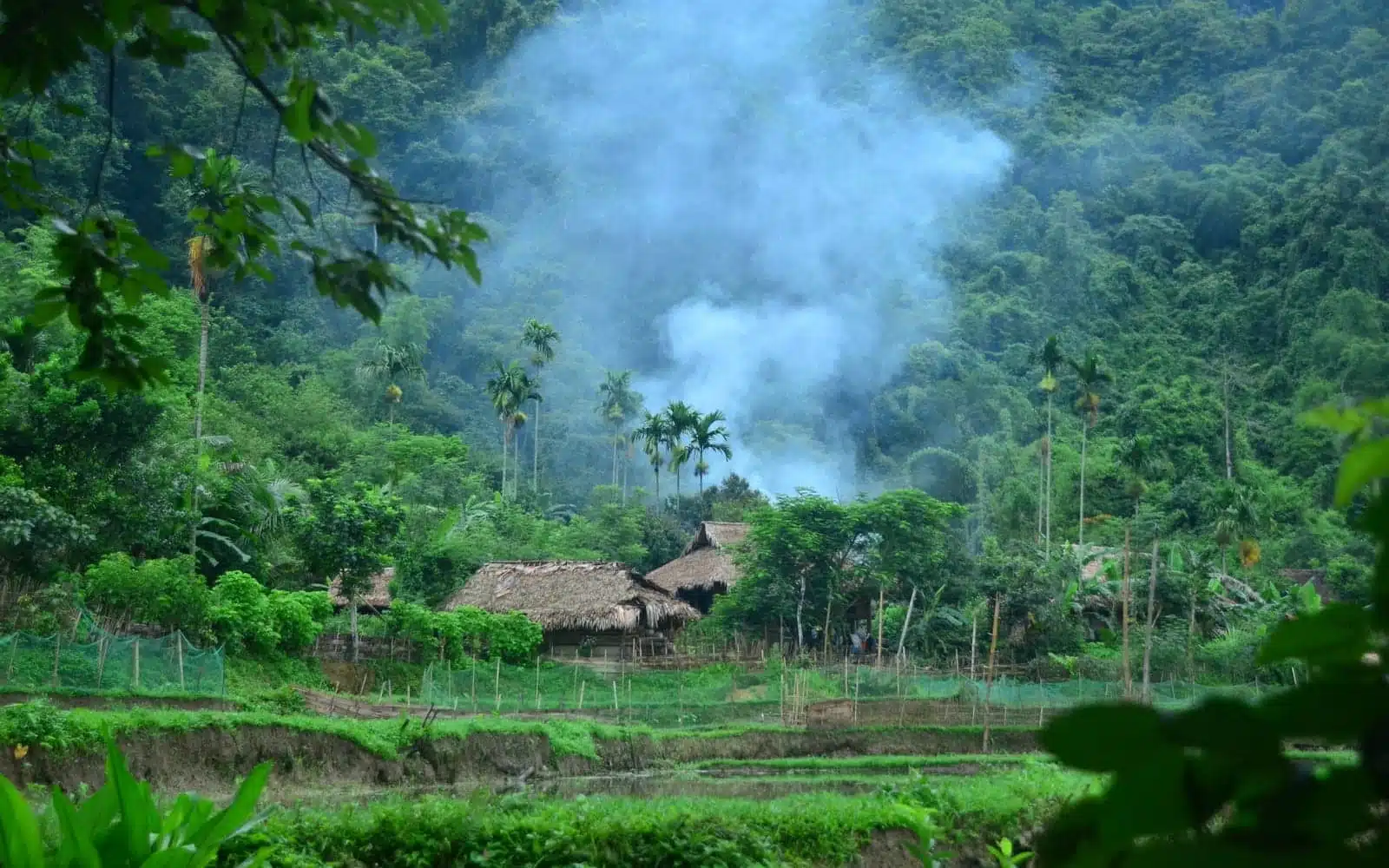 traditional stilt houses pu luong mountain jungle